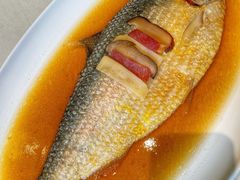 酒蒸鲥鱼-蝶园·装修中(BFC外滩金融中心店)