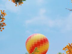-中国科学院西双版纳热带植物园