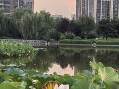 -木塔寺遗址生态公园