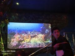 -沈阳海洋探索中心