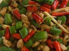 -时光码头民谣公社