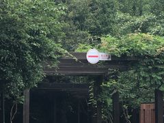 -九龙潭景区