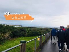 -企鹅岛