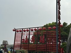 -合肥滨湖国家森林公园