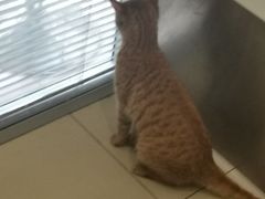 -美迦爱-牙专科·兔科·骨科诊疗中心(北苑店)
