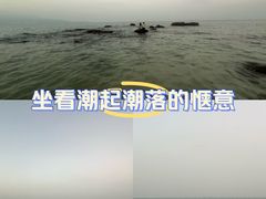 -杨梅坑