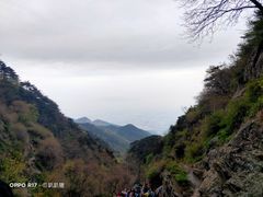 -泰山风景名胜区