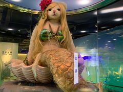 -成都泰迪熊博物馆