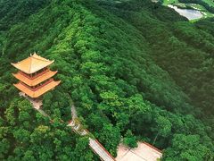 -大屏嶂森林公园
