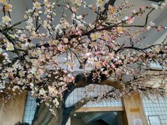 -莫山小馆(百花店)
