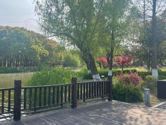 -九科绿洲