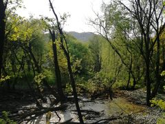 -西湖风景区-江洋畈生态公园