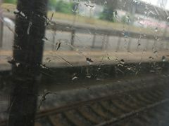 -塘沽站