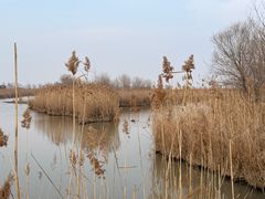 -盐城丹顶鹤湿地生态旅游区