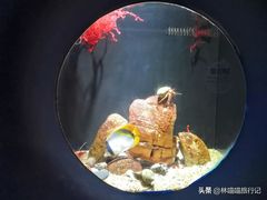 -欢乐海岸海洋奇梦馆