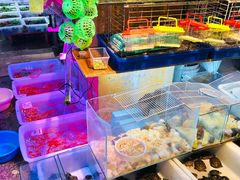 -双季花艺园艺市场(浦东店)