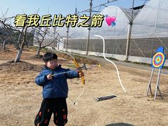 -乌村