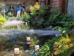 -凤凰山斑鱼馆(恭城店)