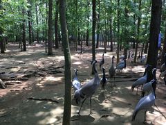 -鄱阳湖国家湿地公园