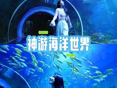 -威海华夏城景区