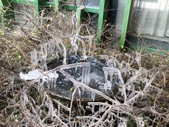 -西湖风景区-江洋畈生态公园