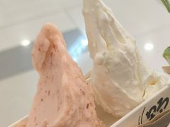 -野人先生Gelato(上海长宁龙之梦店)