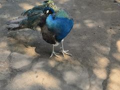 -南戴河国际娱乐中心