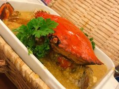 -茉莉.Red Crab