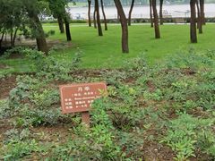 -森林公园(尖草坪区)