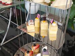 -石家庄万象天成假日酒店