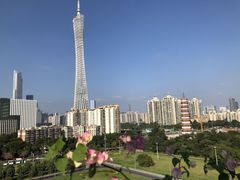 -小茶闲舍·观景商务茶馆(广州塔店)