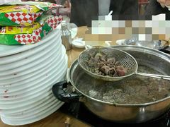 -原野牛肉岛