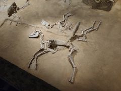 -洛阳周王城天子驾六博物馆