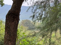 -陶祖圣境风景区