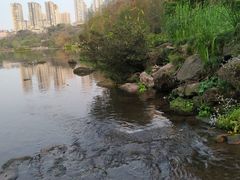 -重庆彩云湖湿地公园