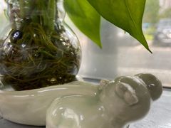 -一代菌王·竹荪鹅(江苏旗舰店)
