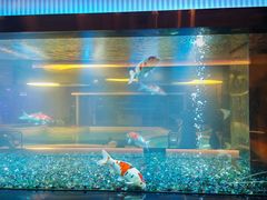 -碧涛阁•泡泡海洋(王府花园店)