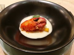 -诺莱仕游艇会