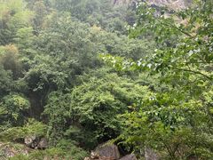 -黄山翡翠谷景区