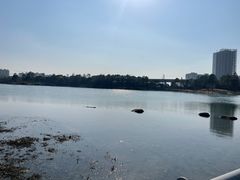 -美兰湖景区