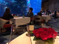 -迪拜帆船酒店海底餐厅