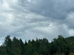 -五营红松林海景区