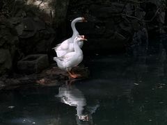 -兰亭风景区