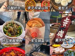 -李子坝梁山鸡(李子坝大鸡哥店)