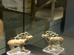 -张掖市博物馆
