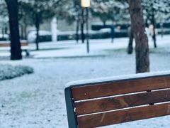 -唐城墙遗址公园