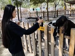 -水上乐园·欢乐世界