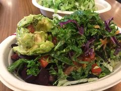 -油梨树 AVOCADO TREE(亮马桥店)