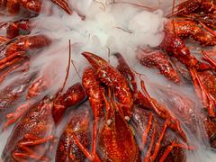 -香满锅老北京羊蝎子火锅·家常菜(新街口店)