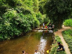 -重庆彩云湖湿地公园